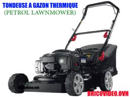 Petrol lawnmower lidl florabest FBM 450 a1 test advice customer reviews price instruction manual technical data